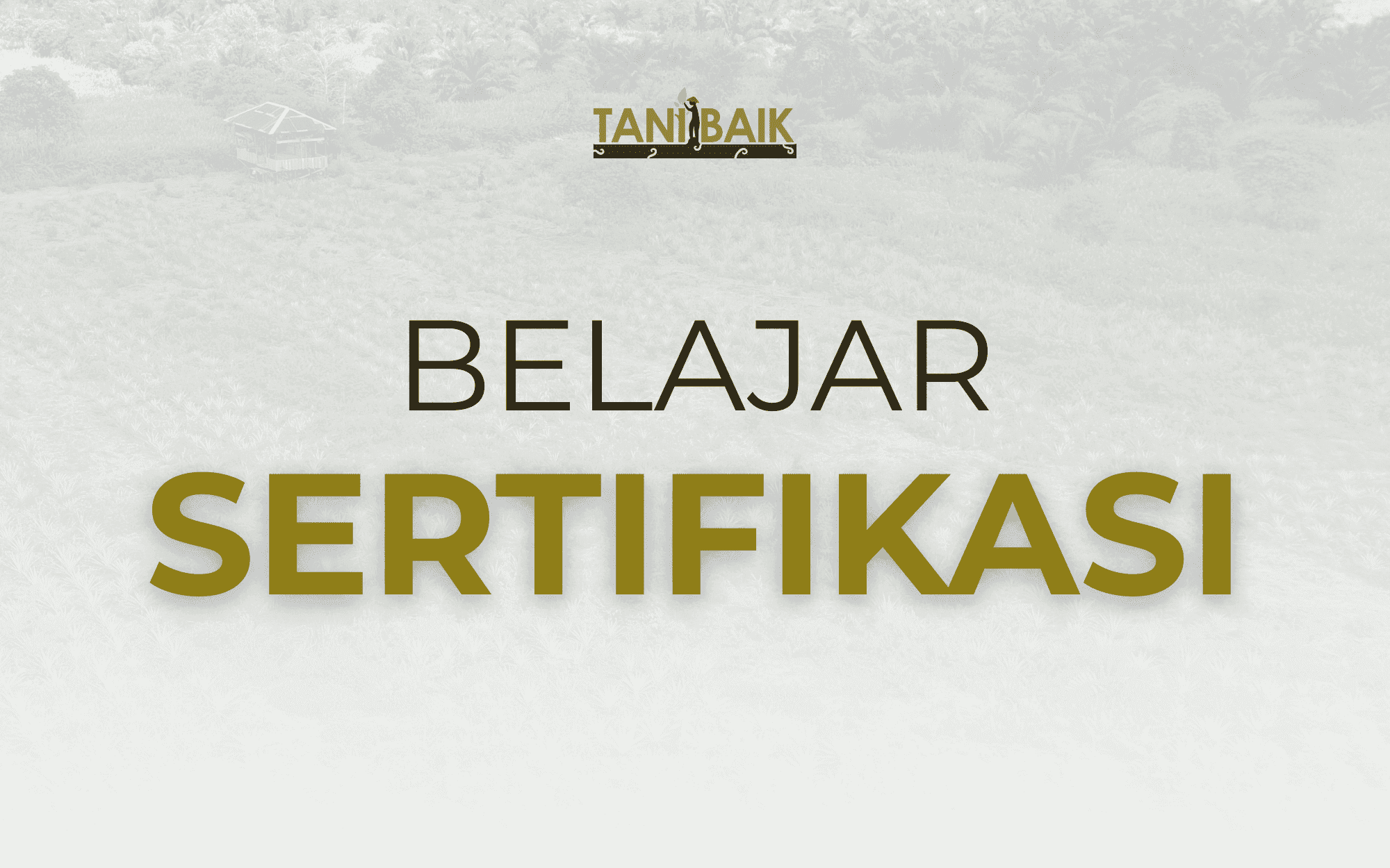 Belajar Sertifikasi