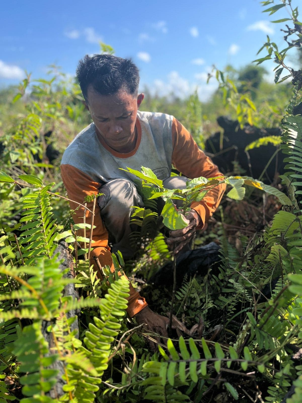Ilustrasi kegiatan Tani Baik 1