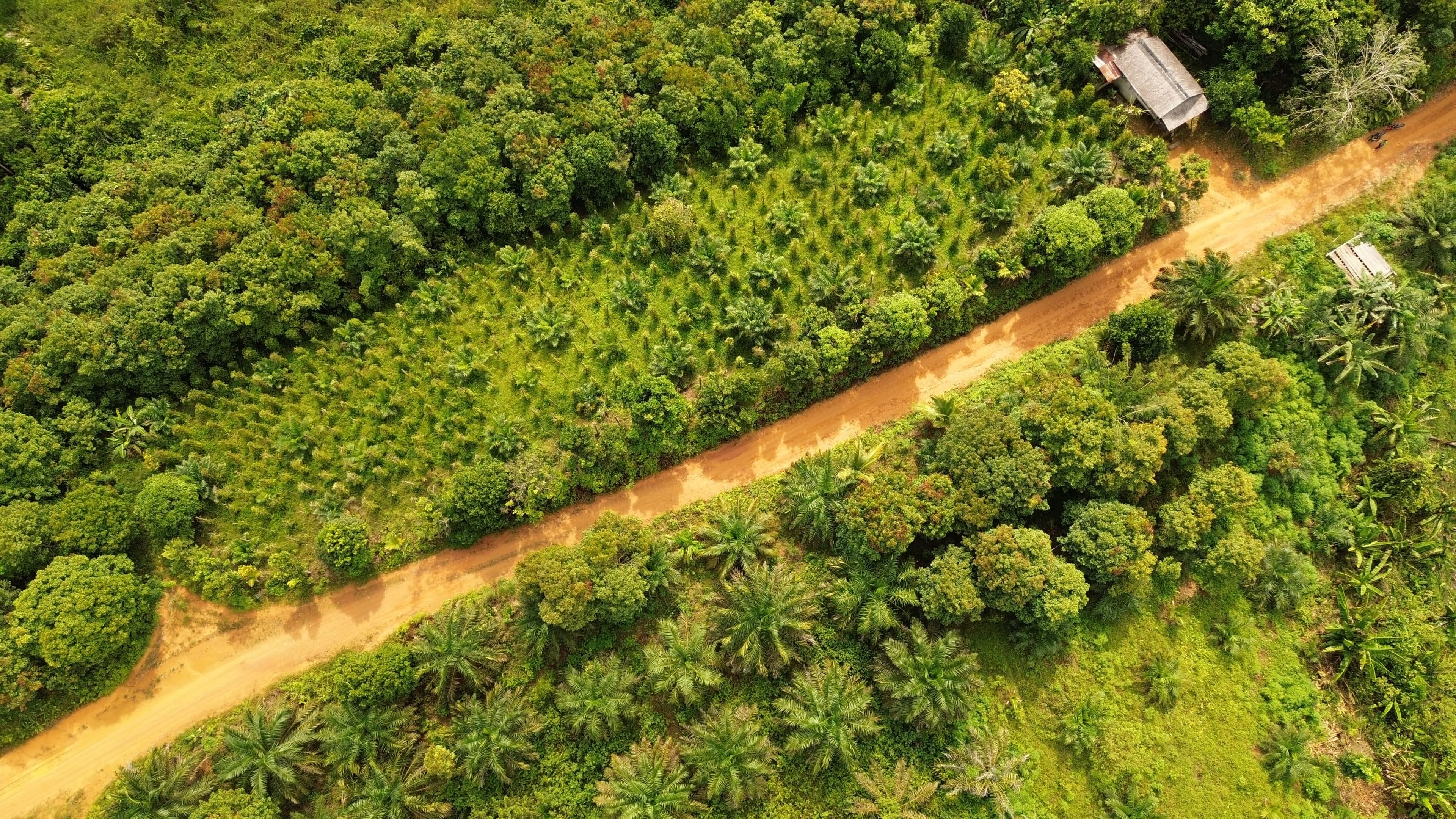 Ilustrasi kegiatan Tani Baik 3